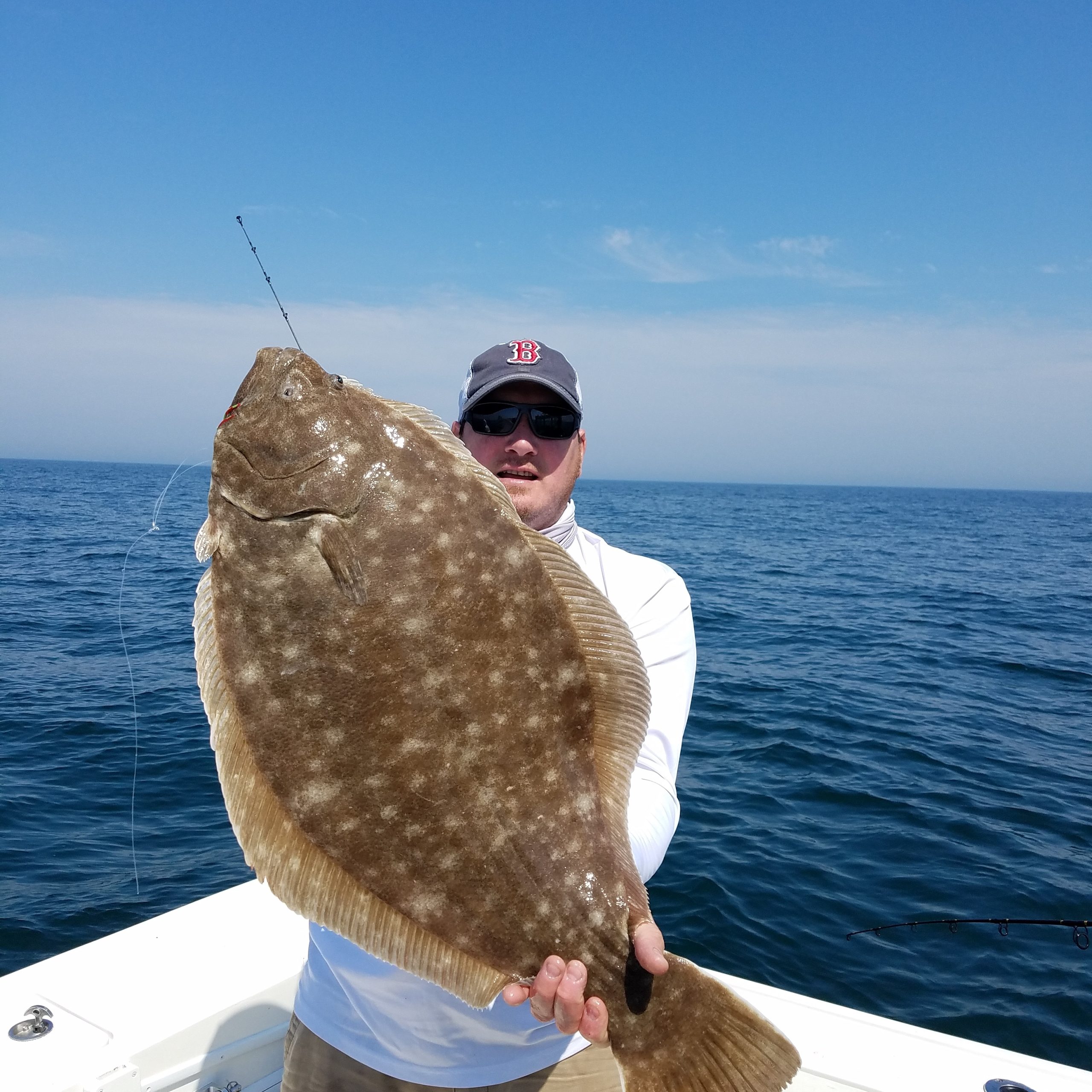 Fluke