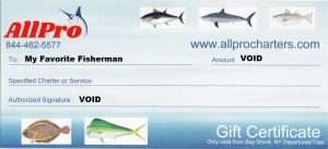 Gift Certificate - Image 2