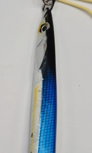 SPEED SQUID - Image 7